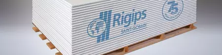 RIGIPS - DIE Gipsplatte