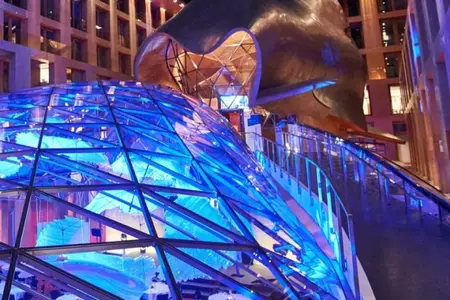 Die 12. Rigips Trophy 2019/2020