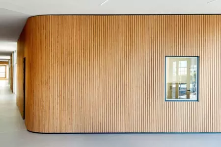 RIGIPS – Ihr starker Partner im Holzbau