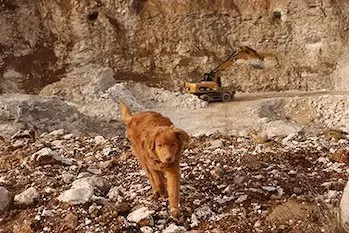Retriever 1