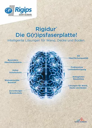 Rigidur die Gripsfaserplatte
